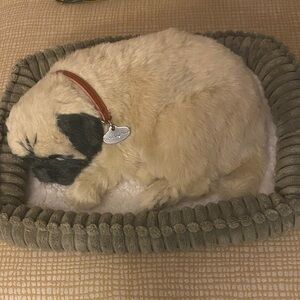 Perfect Petzzz Pug Dog with Black Ears